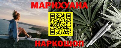 мдпв Новозыбков