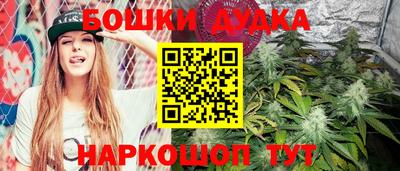 мдпв Новозыбков