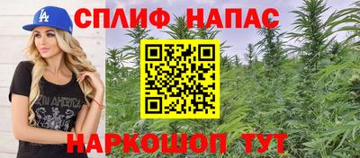 мдпв Новозыбков